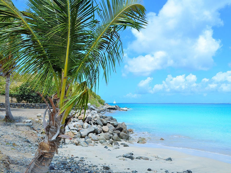 Stadtrundfahrt La Martinique
