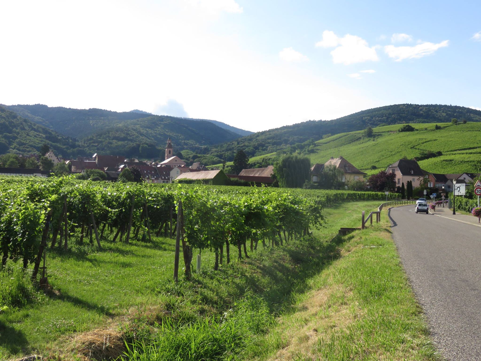 Reiseleiter Riquewirh