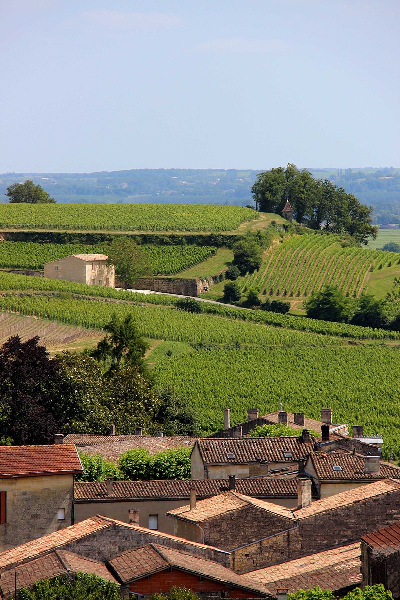 Guide Touristique Saint Emilion, guide Saint Emilion, Reiseleiter Saint Emilion
